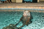  at Bobby Campbell's Hollywood Legends party to benefit The ARC foundatiion at this Boca Raton residence on 11-13-05. photo by Rob Rich copyright 2005 516-676-3939 robwayne1@aol.com 